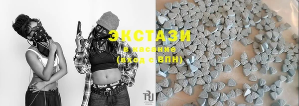 стафф Арсеньев