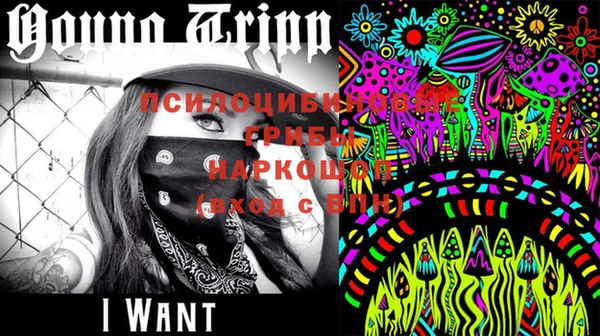 стафф Арсеньев
