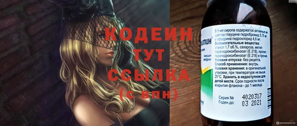 стафф Арсеньев